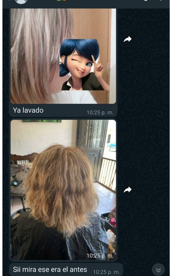 Diseño sin título - 2025-11-24T195949.437